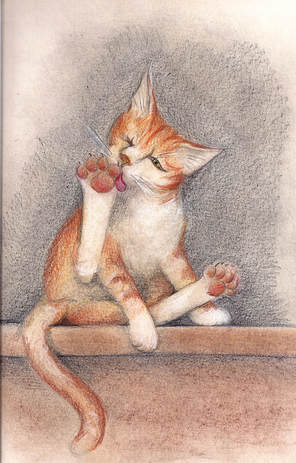 Picture